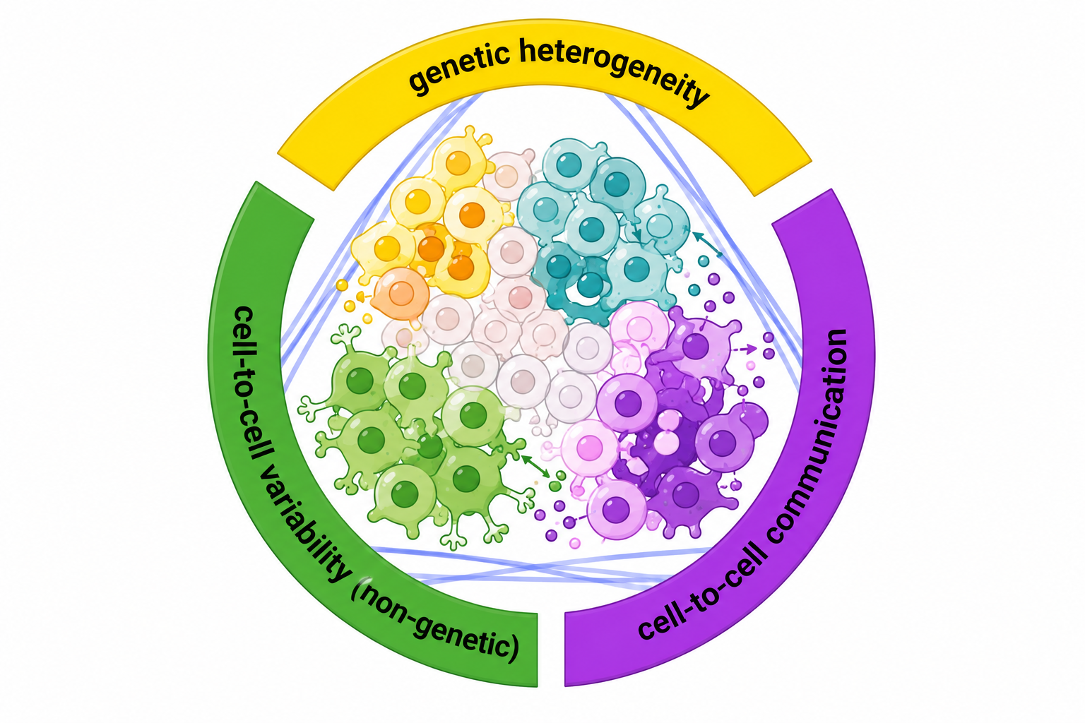 Genetic heterogeneity, non-genetic variability, and cell-to-cell communication concept